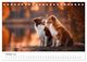 Thumbnail-12
