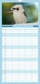 Thumbnail-9