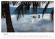 Thumbnail-12