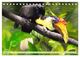 Thumbnail-10
