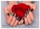 Thumbnail-11