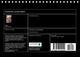 Thumbnail-13