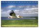 Thumbnail-10