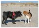 Thumbnail-9