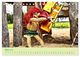 Thumbnail-8