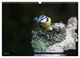 Thumbnail-9