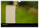 Thumbnail-14