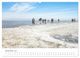 Thumbnail-14