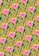 Thumbnail-8