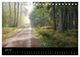 Thumbnail-11