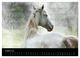 Thumbnail-13