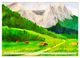 Thumbnail-11