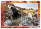 Thumbnail-11