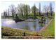 Thumbnail-9