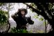 Thumbnail-10