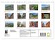 Thumbnail-12