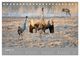 Thumbnail-8