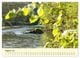 Thumbnail-13
