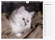 Thumbnail-13