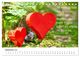 Thumbnail-11