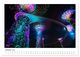 Thumbnail-12