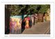 Thumbnail-11