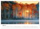 Thumbnail-9