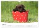 Thumbnail-9