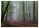 Thumbnail-14