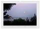 Thumbnail-14