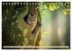 Thumbnail-14