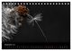 Thumbnail-14