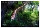 Thumbnail-9