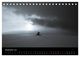 Thumbnail-14