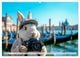 Thumbnail-10