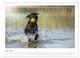 Thumbnail-10