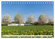 Thumbnail-8