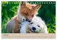 Thumbnail-11