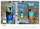 Thumbnail-9