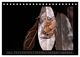 Thumbnail-12