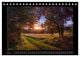 Thumbnail-11