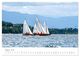 Thumbnail-13