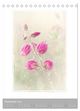 Thumbnail-14