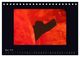 Thumbnail-9