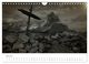 Thumbnail-12