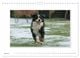 Thumbnail-9