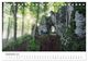 Thumbnail-14
