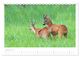 Thumbnail-10