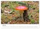 Thumbnail-10