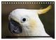 Thumbnail-9